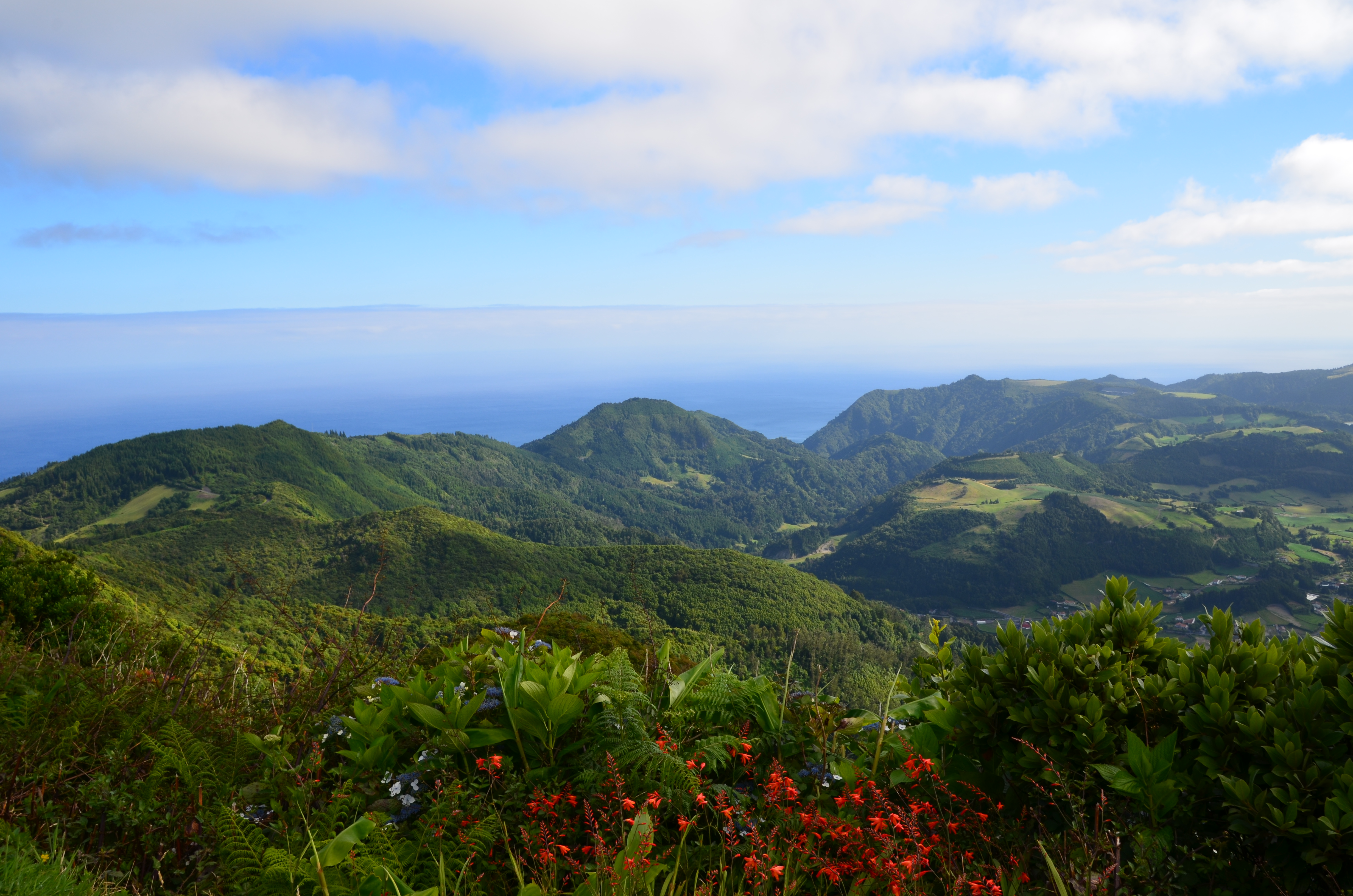 Portugal – Azoren – São Miguel: meine Highlights für Entdecker